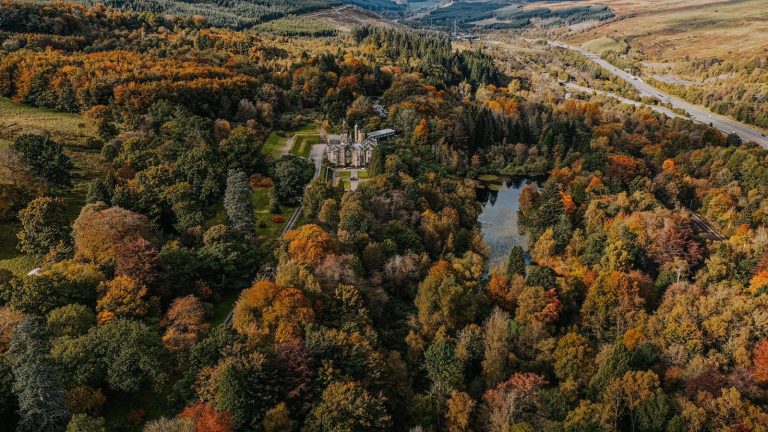 Hero WillowWildePhotography 768x432