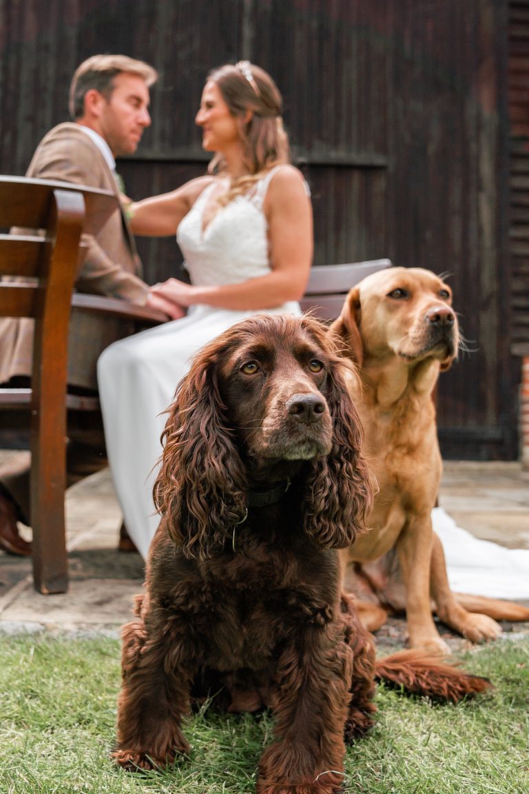 Hillfields190 768x1152