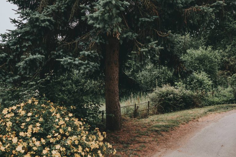 Hoath house wedding with Emily and Pete 4 web 768x512