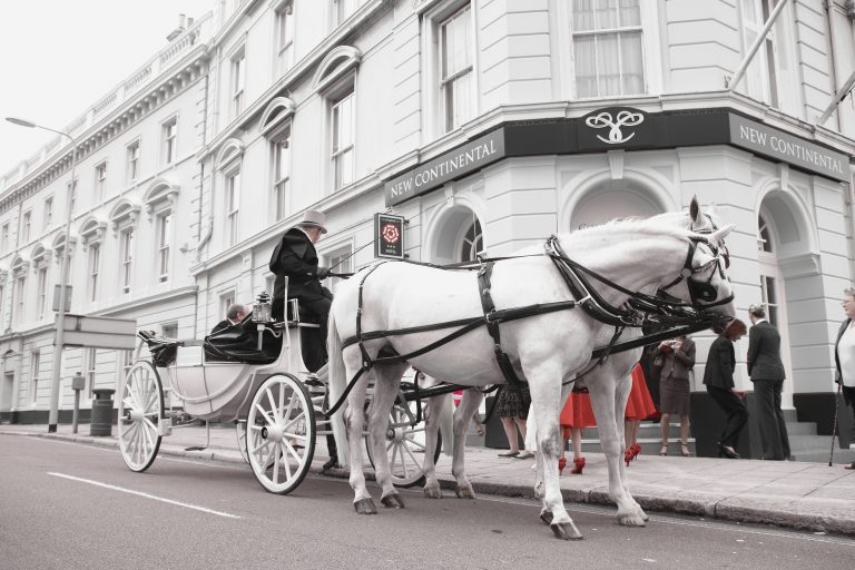 HorseandCarriage 768x512