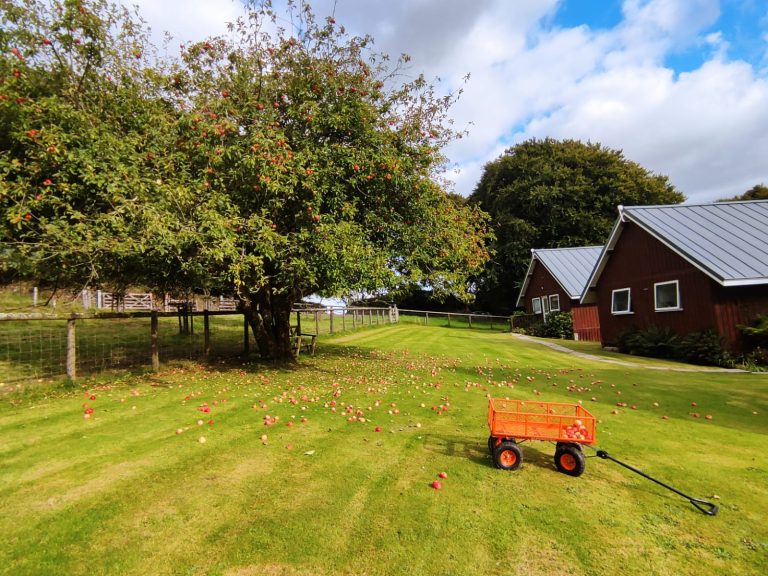 IMG 20220919 WA0008 768x576