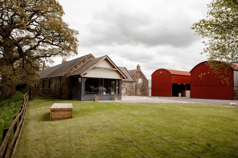 IMG 0099 2 2 768x512