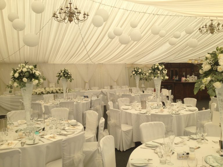 IMG 0193 i2e1xf 768x576