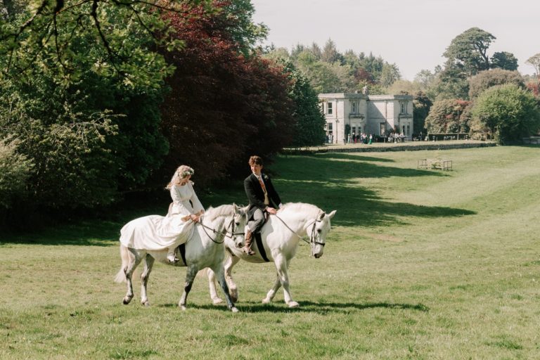 IMG 0914Large 768x512