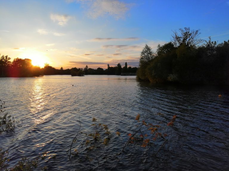 IMG 20190516 202036 768x576