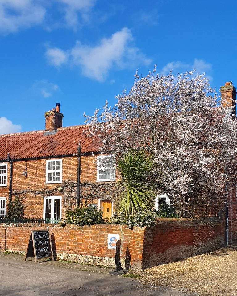 IMG 20200302 135654 075 768x960