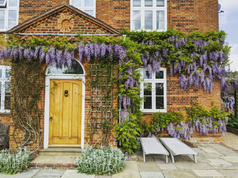 IMG 20200506 121355 209 768x576