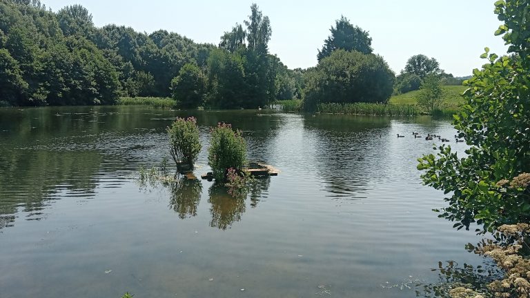 IMG 20200731 132917 768x432