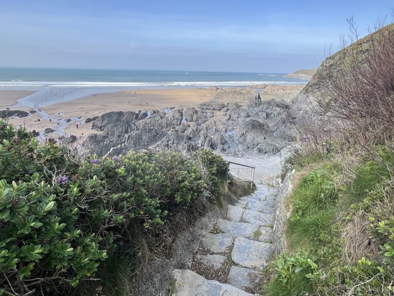 IMG 2925 003 scaled 1 768x576