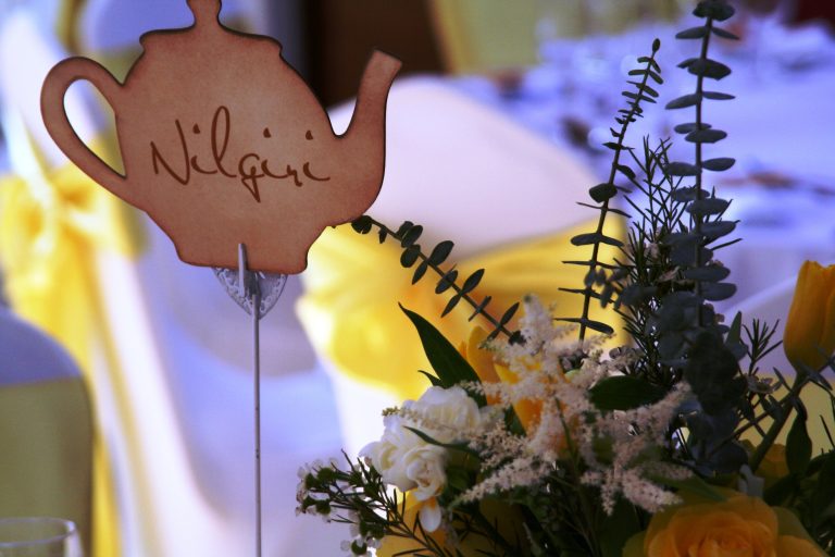 IMG 4021b sizrnw 768x512