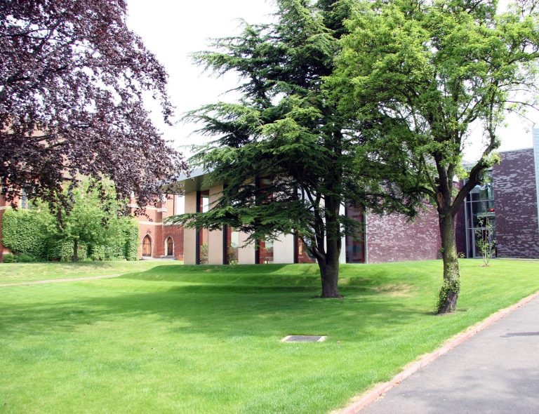 IMG 8128 aicv0x 768x590