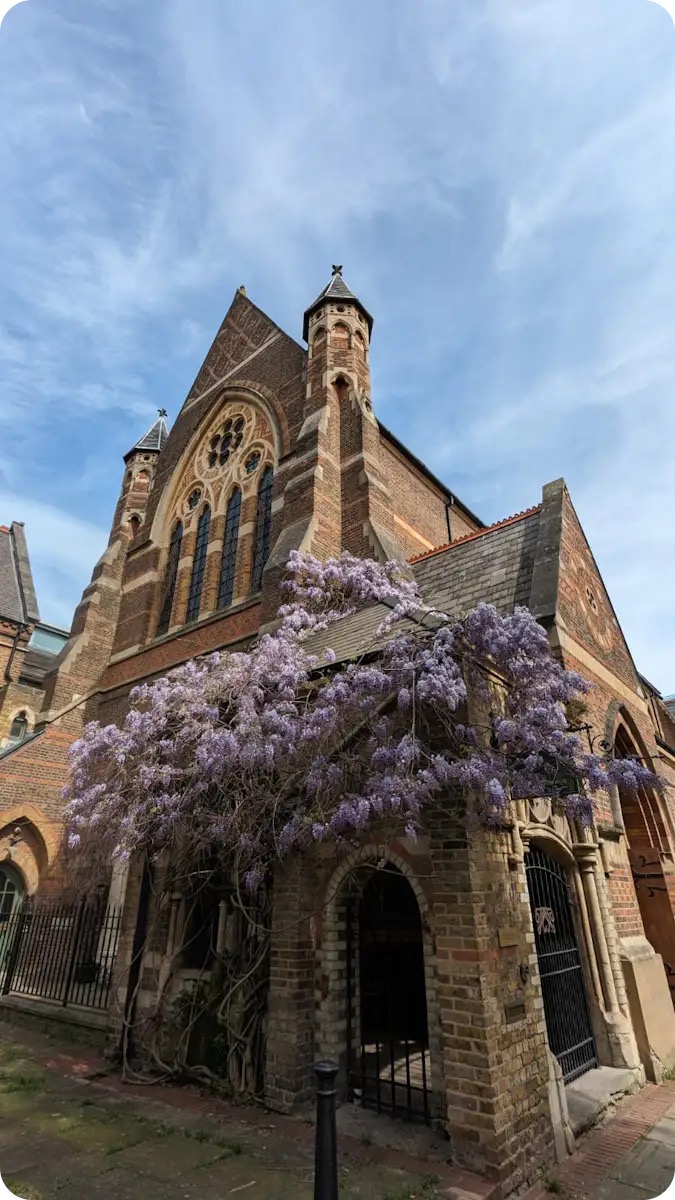 Image5