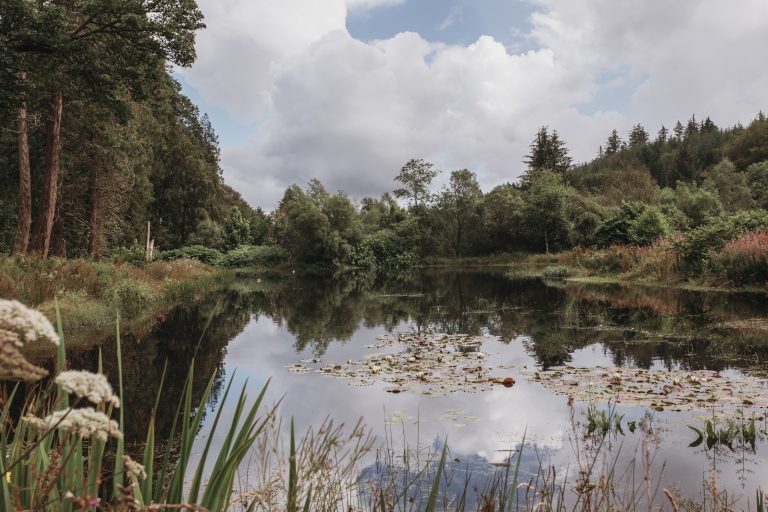 JasonIan0063 768x512