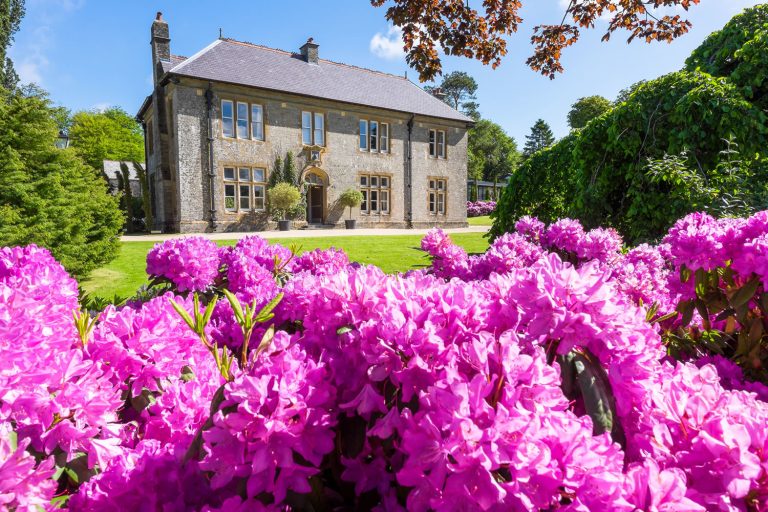 Kentisbury Grange   Gardens   High Res   068 w1idgp 768x512