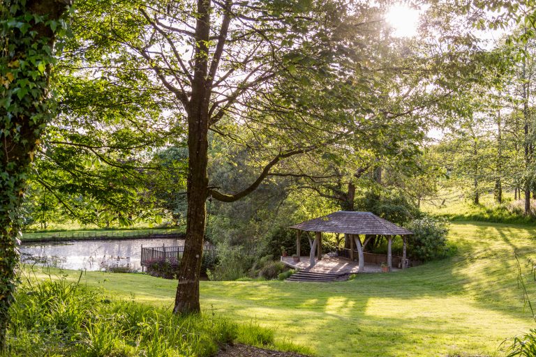 LR Deers Leap 1 19 768x512