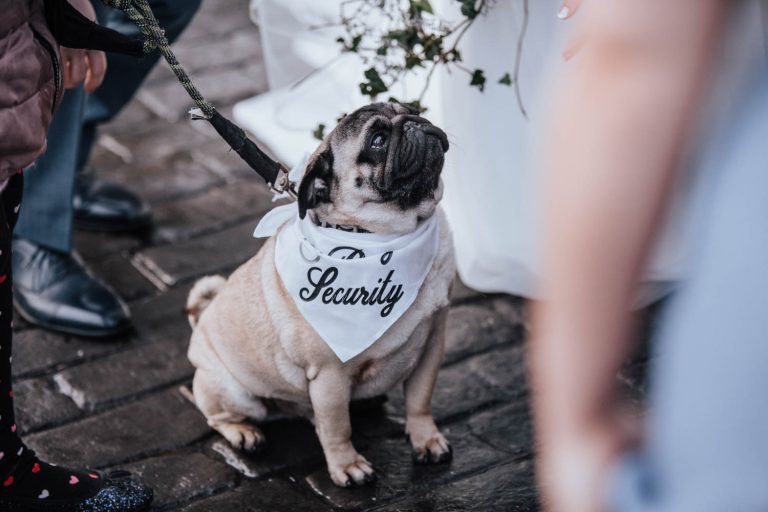 Larchfield estate wedding photographer039 768x512