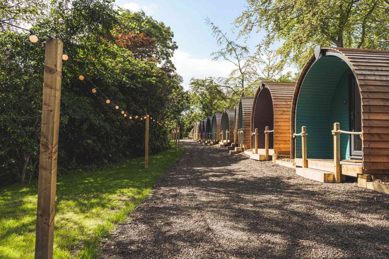 Liam Kerr The Tawny September 2021 8 768x512