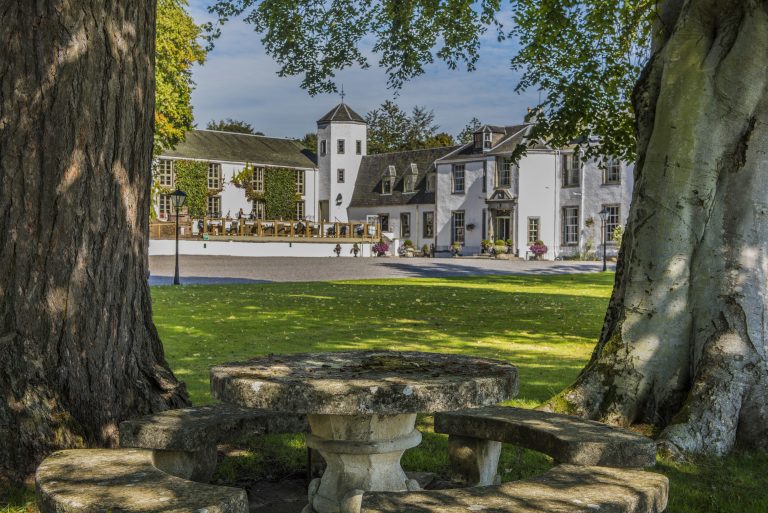 Lookingtohotel 768x513