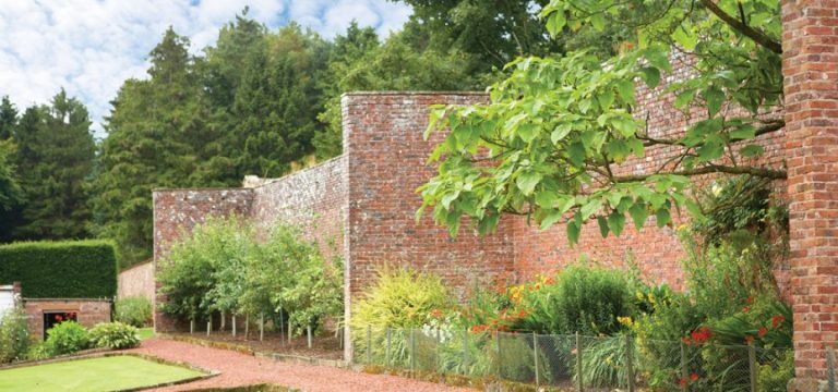 MHgarden 768x360