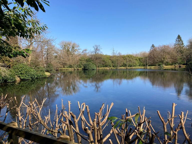 ManorGardensLake3 768x576