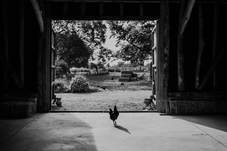 MarthaandWillWedding 62 768x512