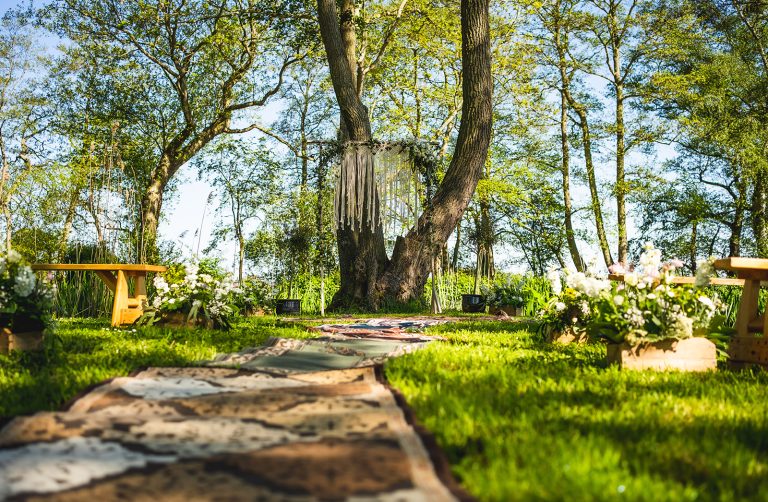 MegSteve 008 websize 768x502