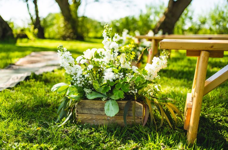 MegSteve 009 websize 768x505