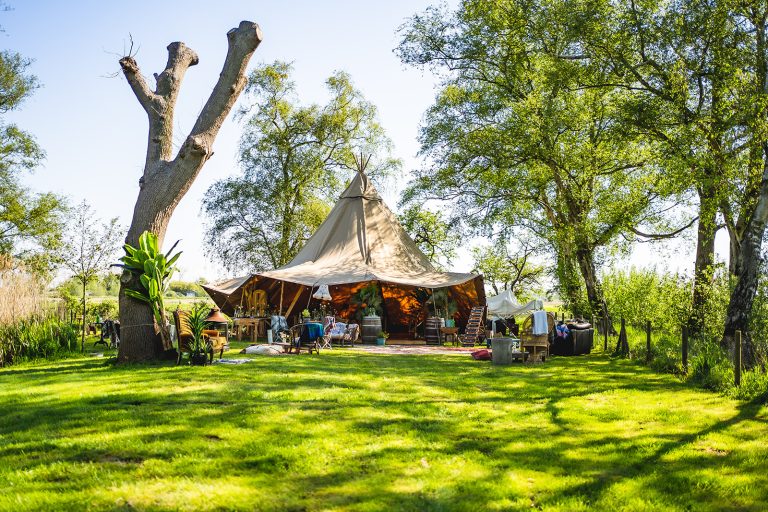 MegSteve 011 websize 768x512