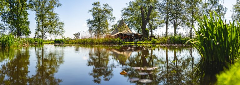 MegSteve 054 websize 1 768x273