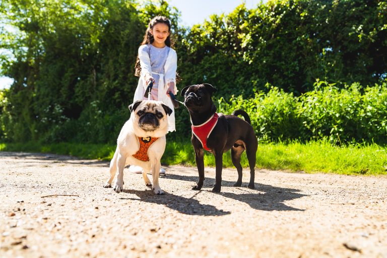 MegSteve 071 websize 768x512