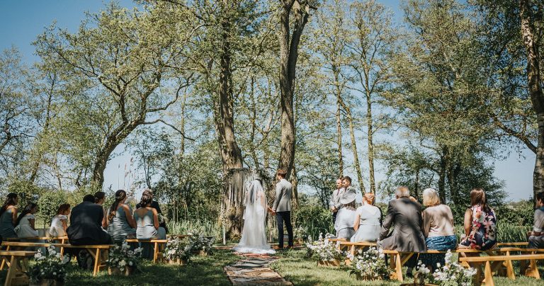 MegSteve 327 websize 768x404