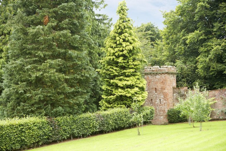 MelmerbyHallCastleFollyandgardens 768x512