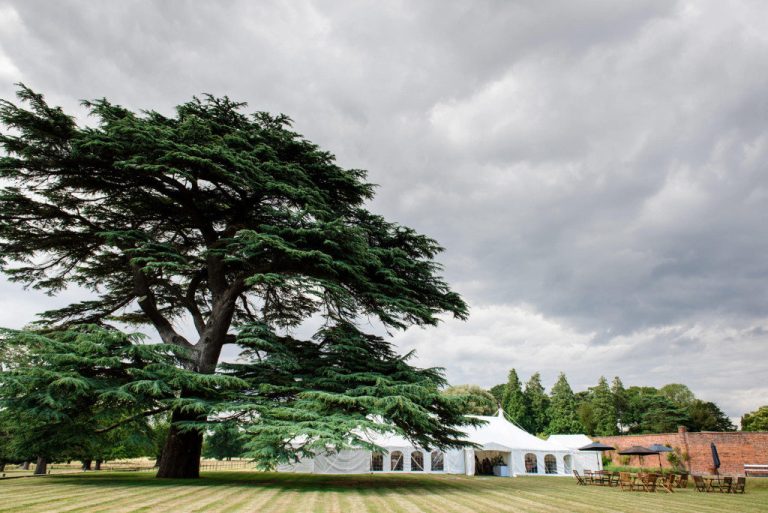 Morgan 475 1024x684 ao4j6b 768x513