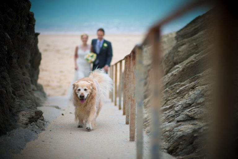 Newquay Hotel Wedding Venue Oceanside13 768x512