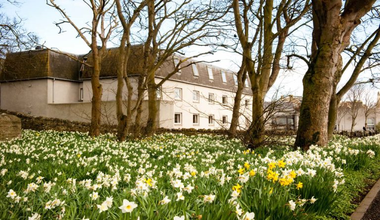 Norseman 20with 20Daffodils 20in 20forecourt jjb7yg 768x446