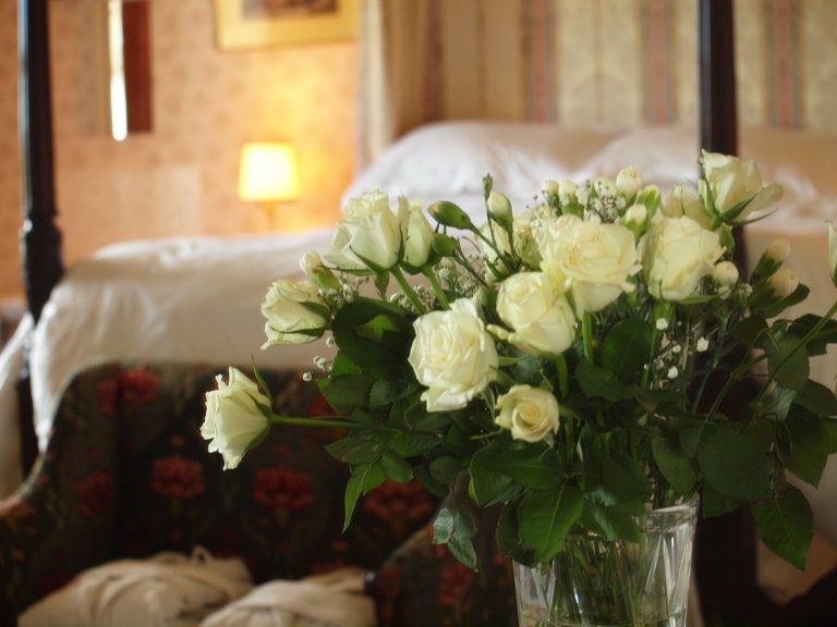 P1011132 metgtn 768x576