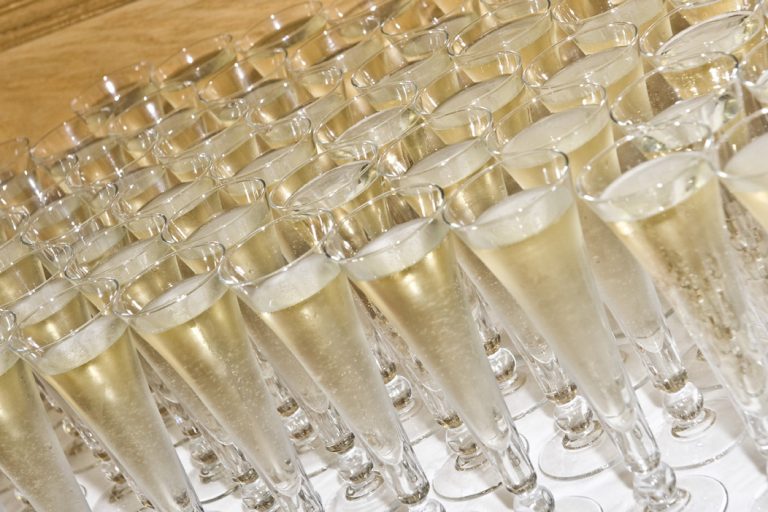 Page13partystatedsmallimage1 768x512