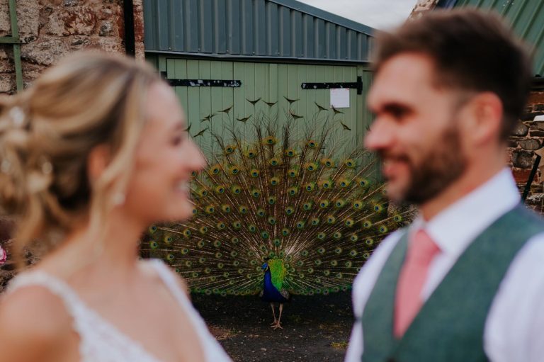 Peacockscountryweddingswedderliehouseweddingvenue 768x511