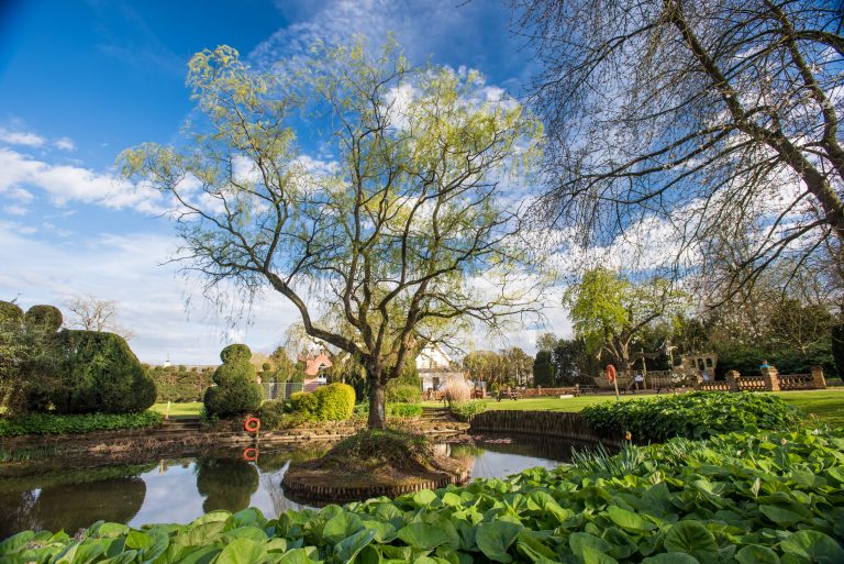 PondOverview 768x513