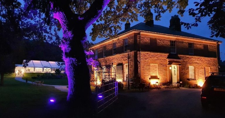 Profileatnight 768x402