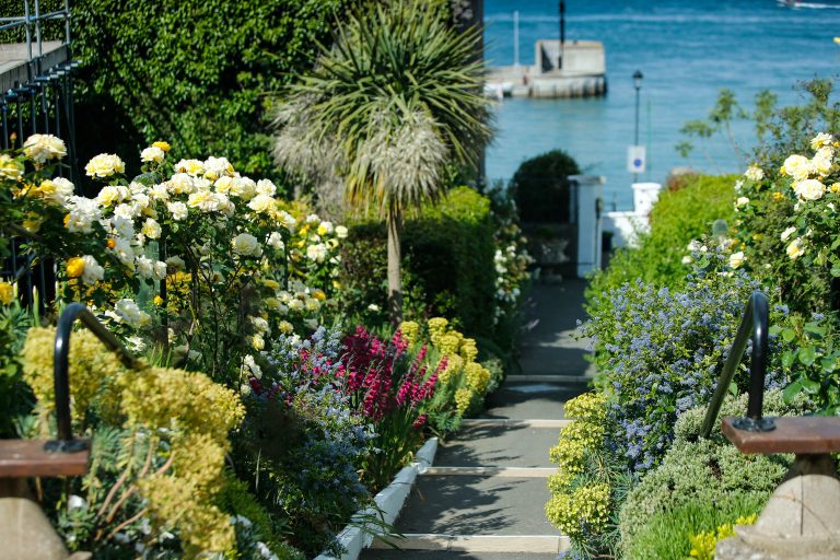 RORCGarden 19 768x512