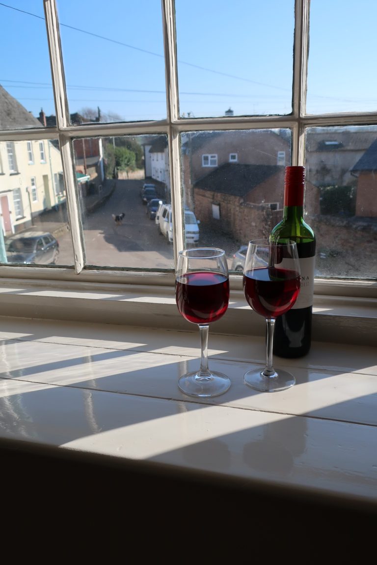 Room1veiwwithdogJim 768x1152