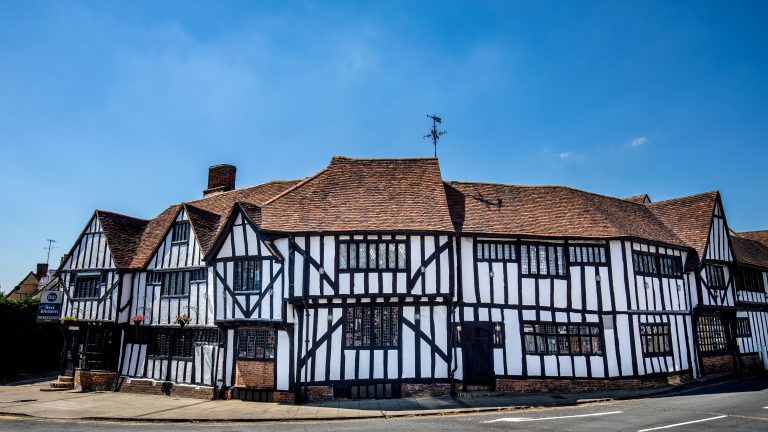 Rose Crown 1007 1 768x432