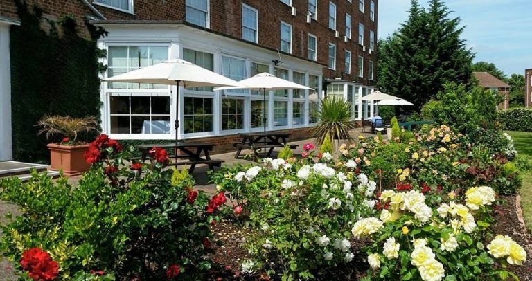 Rose Garden wqzxqt 768x406