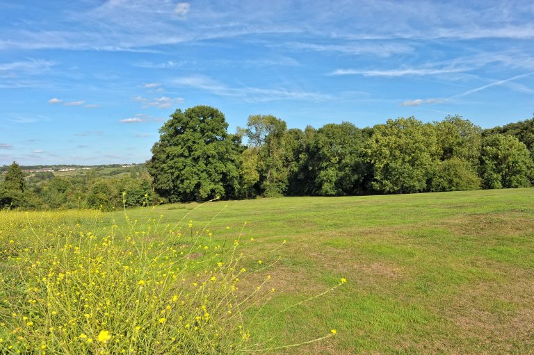 SMC 0883 new1 768x511