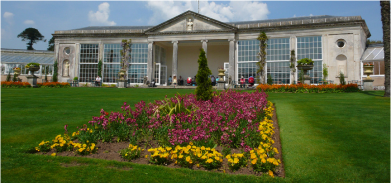 Screen Shot 2016 08 15 at 10.21.17 p1ovnj 768x359