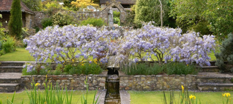 Screen Shot 2016 08 16 at 12.23.03 qpbkgs 768x342