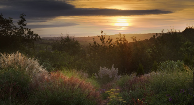 Screen Shot 2016 08 16 at 12.23.44 n9wekn 768x418