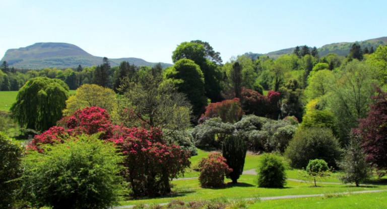 Screen Shot 2016 08 24 at 14.51.24 cqscgt 768x416