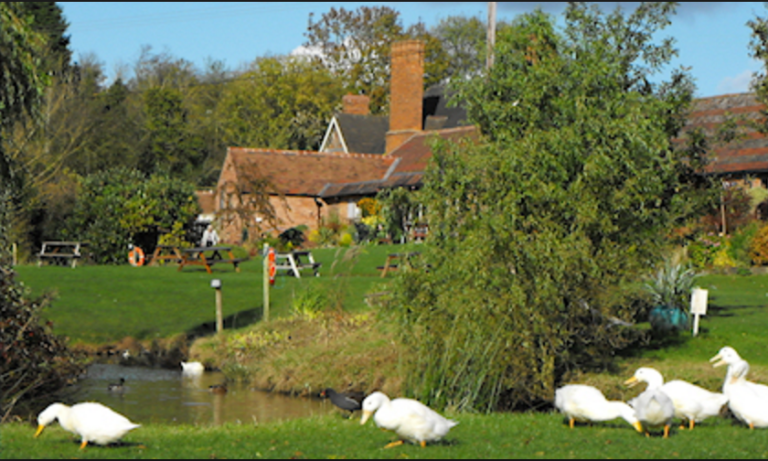 Screen Shot 2016 08 29 at 17.43.30 mwrroa 768x461